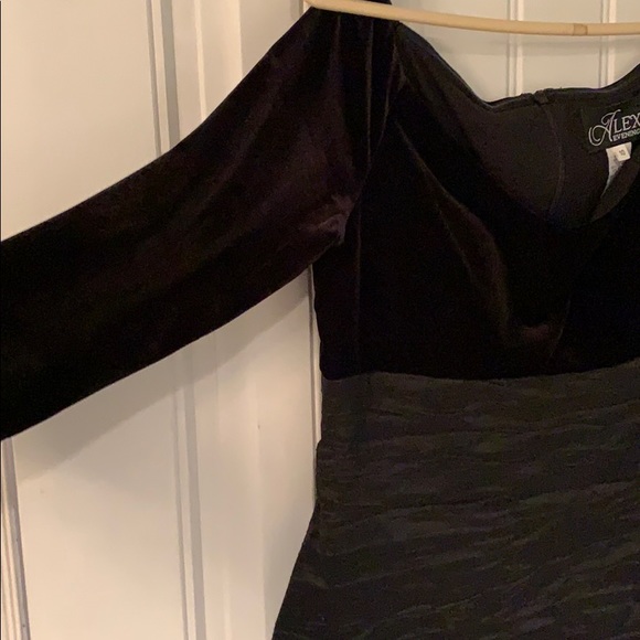 Reduced! Velvet Crinoline Sheath Dress - Picture 3 of 5